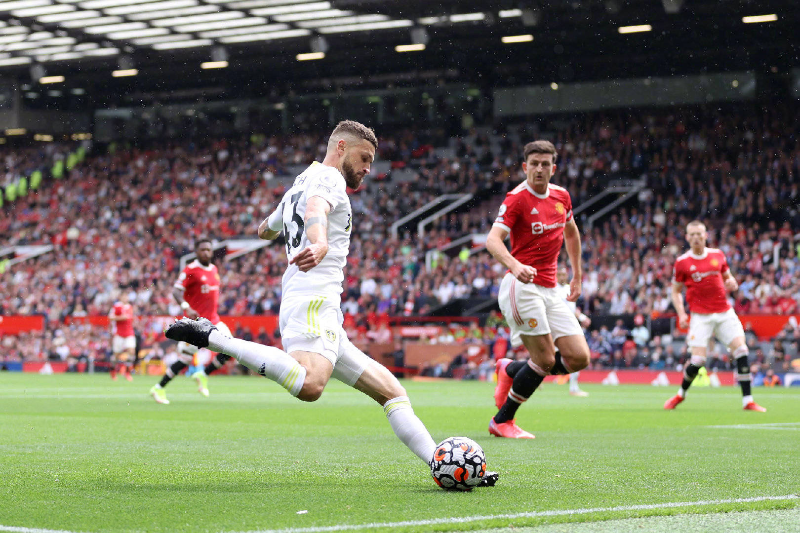 在近几年大 在近几年大